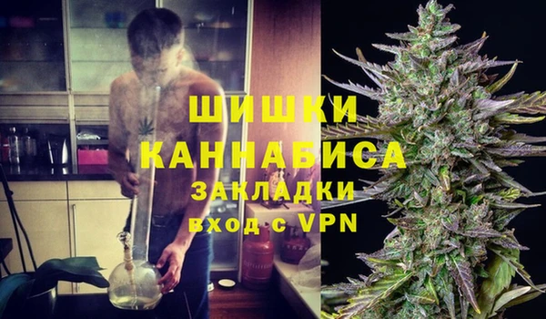 стаф Ростов
