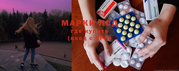 стаф Ростов