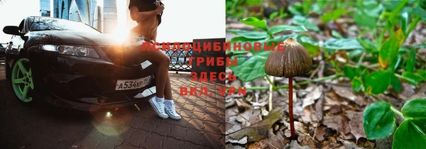 mix Рославль