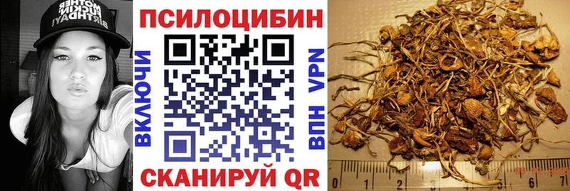 где купить наркотик OMG как зайти Псилоцибиновые грибы Psilocybe Назарово